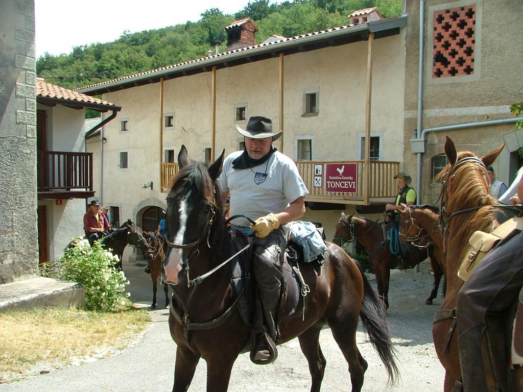 Hotel Toncevi Eco Estate Branik Exteriér fotografie